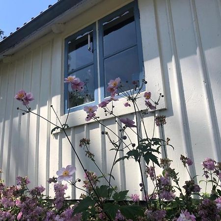 Seaside Cottage Haga Park Frobygarda Exteriér fotografie